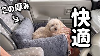 ふかふかペットドライブベッドで愛犬を快適環境に！わんちゃんも家族です！BUYFULL