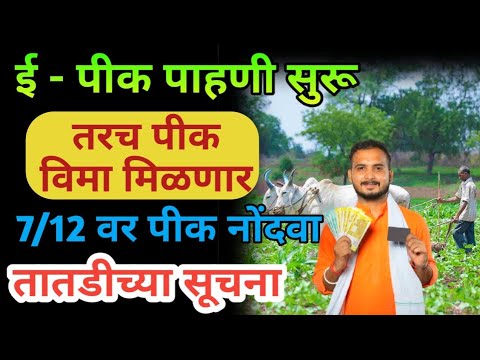 ई - पीक पाहणी | ई-पीक पाहणी | e-pik pahani #government_scheme #government_app #farmar_busines