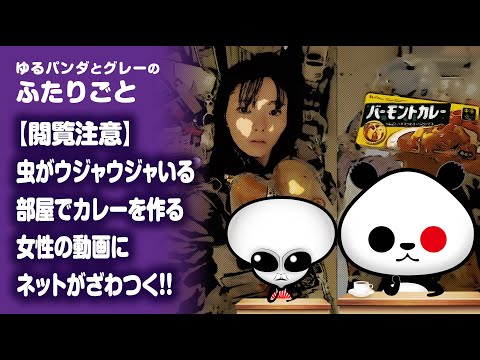 ふたりごと「【閲覧注意】虫がウジャウジャいる部屋でカレーを作る女性の動画にネットがざわつく！！」