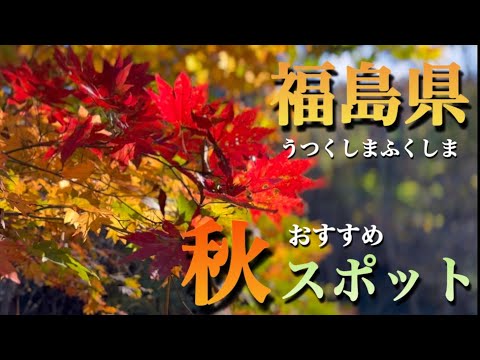 【秋の福島県】11月　おすすめ観光スポット　福島県へ遊びに来てください！