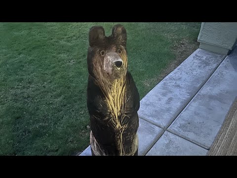 Wood Carving my first bear ever carving