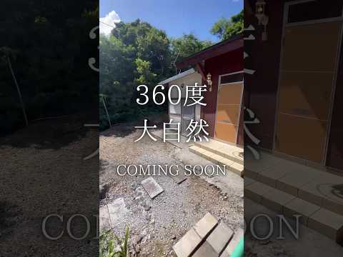 【🌳360度 大自然🌳】#shorts #breo#沖縄#中古マンション #マンション #不動産 #マイホーム #住宅ローン #沖縄移住