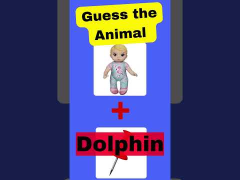 Guest The Animal Quiz #animalquiz  #quiztime #challenge