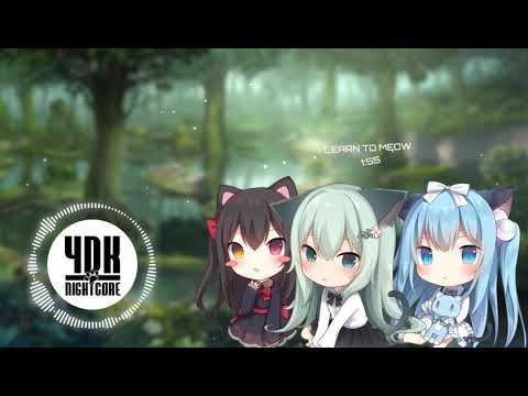 [ Nightcore ] Learn to Meow - Xiao Pan Pan Ft Xiao Feng Feng