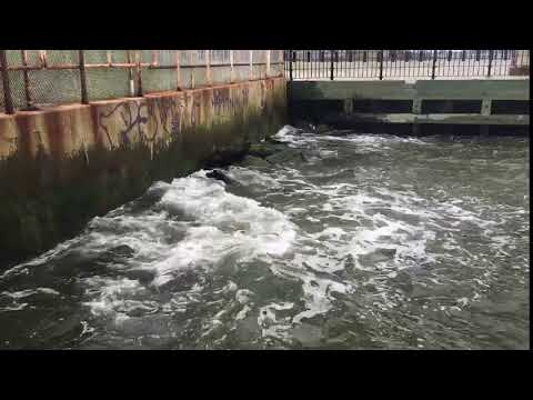 Time Lapse Waves in Brooklyn