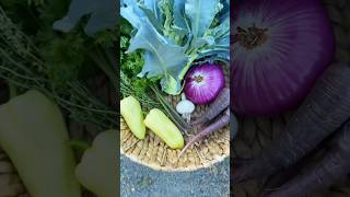 Harvesting Fruits and Vegetables | Broccoli Harvest Techniques | Amazing Organic Farming