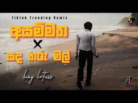 Asammatha ( අසම්මත ) x Sada Taru Mal ( සද තරු මල් ) Tiktok Trending Remix @KingLotuss