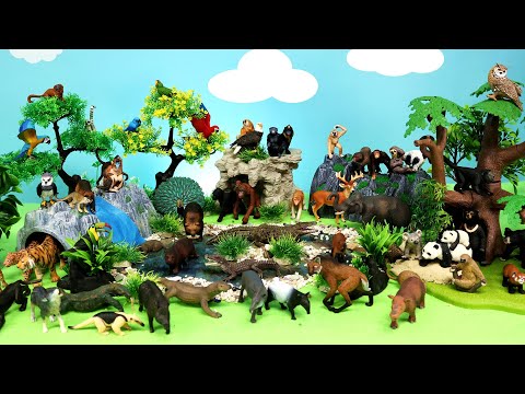 Forest and Jungle Zoo Animals - Safari Waterfall Diorama Set