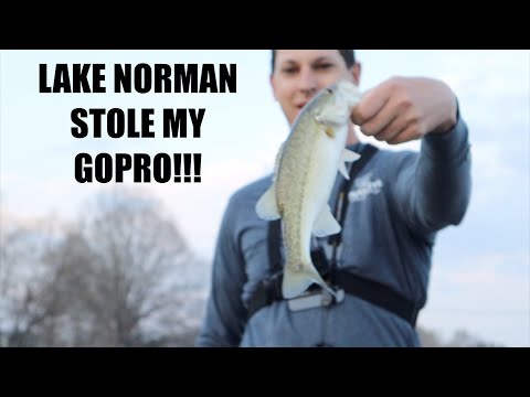 Lake Norman Bass make up for lost GoPro!