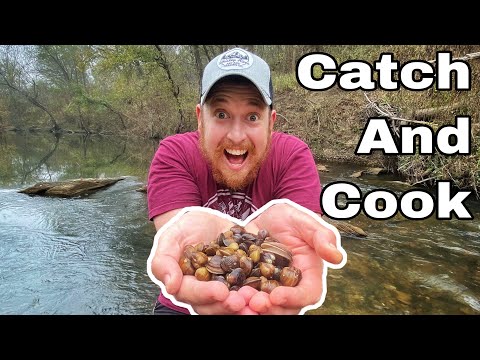 Catch Clean Cook! CLAM DIGGING! 7 Day Beginner Survival Challenge Texas - Day 3