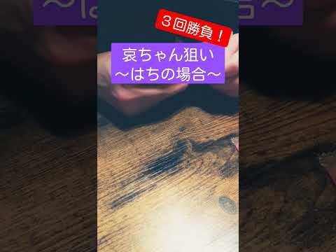 名探偵コナン イタジャガ開封！はちver.