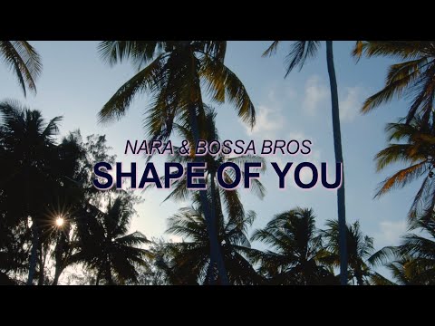 Ed Sheeran - Shape of You  (Bossa Nova Cover) ☀️ Summer Songs