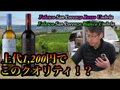 【ワイン】　Falesco Umbria Bianco,Rosso テイスティング