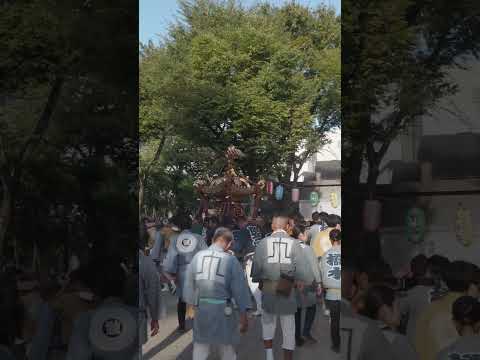 スカイツリーと本所二丁目町会神輿【牛嶋神社 祭礼 若宮宮入連合渡御】