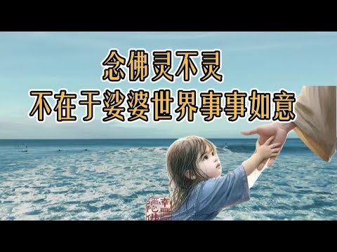 #净土宗 #佛教 #智慧 ＃念佛＃阿弥陀佛＃极乐世界