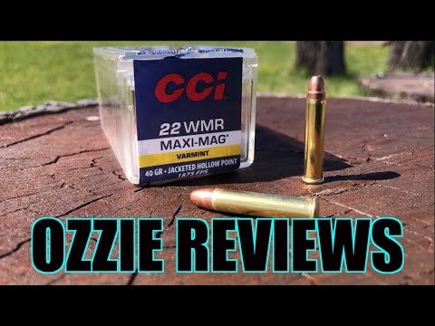 CCI 40gr JHP 22 Magnum Accuracy Test