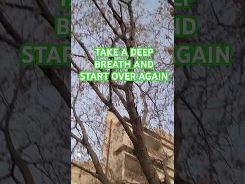 Start Over Again #takeadeepbreath #viral #video #foryou #youtubeshorts #youtube #ksa #ALLAH #REHMAN