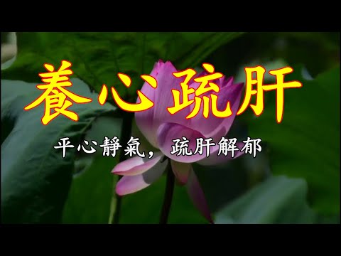 五音療疾丨平心靜氣，疏肝解鬱；空靈悠遠，去燥忘憂，好美的旋律！