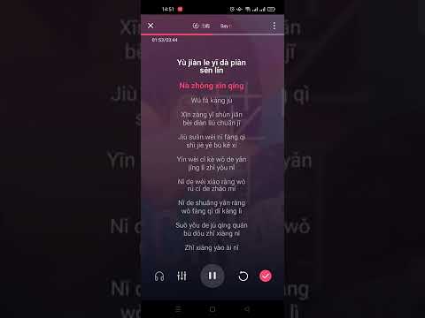 Say mê - Thắng Dữ (着迷 - 胜屿) Pinyin Karaoke