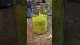 Homemade Sauerkraut | Homemade Sauerkraut Recipe | Homestead Living