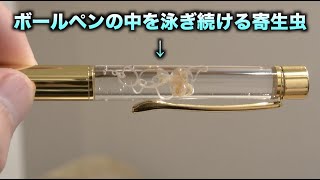 寄生虫アニサキスでボールペン作ったらマジ気持ち悪すぎたwwwww