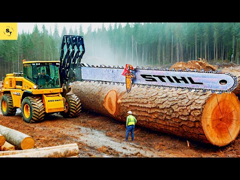 Unbelievable! Extreme Chainsaw Machines Cutting Massive Trees | Giant Excavator Stump Removal #71