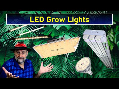 Selecting an Led Grow Light | I'll take you shopping for the BEST one!