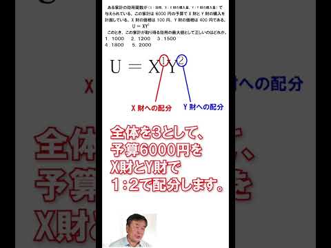 【超入門】ミクロ経済学ー最適消費量の計算（コブ=ダグラス型効用関数）#shorts