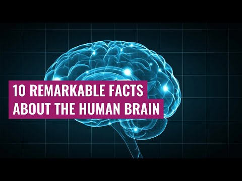 10 Remarkable Facts about the Human Brain