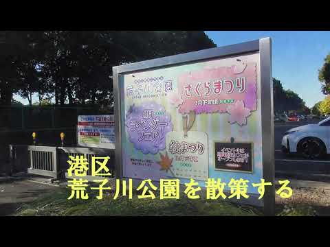 【敬老パスで移動、自然観察】港区・荒子川公園を散策する（愛知県）