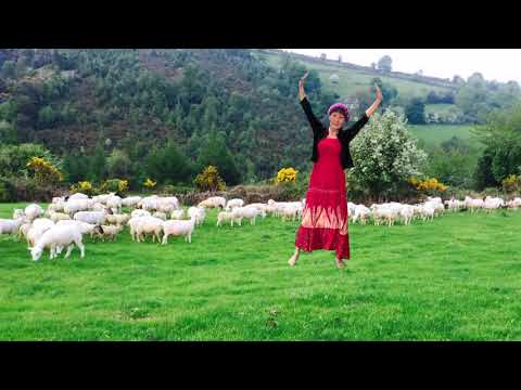 中国民族舞蹈（Chinese Folk Dance）蒙古舞【我多想】