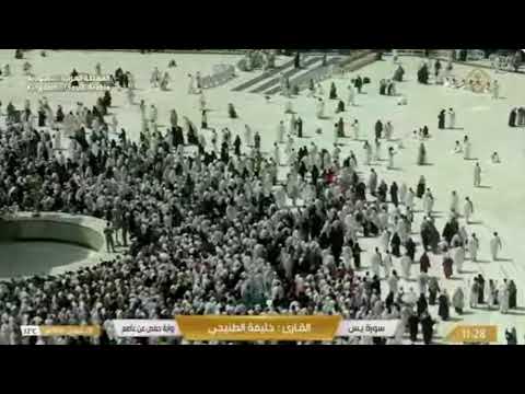 🔴 Makkah Live HD | Mecca Live | Makkah Live Today Now 🕋