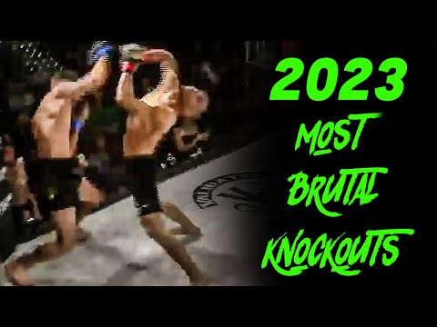 The Most Brutal Knockouts Of 2023 | UFC, MMA, Kickboxing & Bare Knuckle