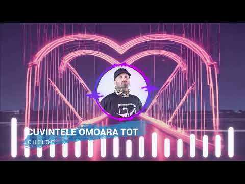 PARAZITII - CUVINTELE OMOARA TOT (Ai Cover - Dance, Pop, J-Pop )