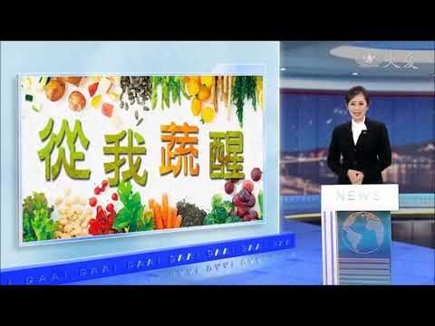 【聯安健康廚房 x 大愛新聞】從我蔬醒：黑手主廚 堅持蔬食