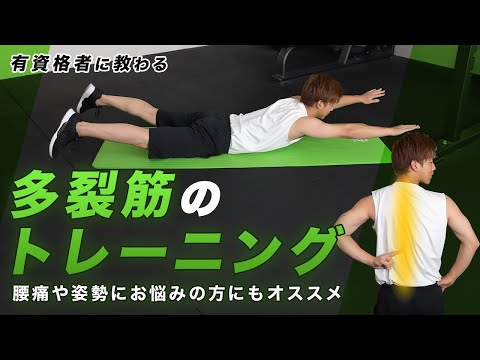 多裂筋のトレーニング3種目2セット｜腰痛や姿勢にお悩みの方にもオススメ【6分間】