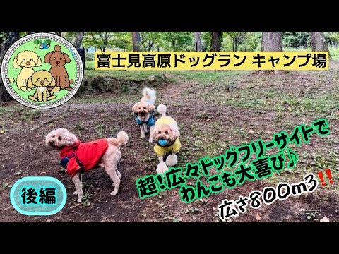 犬連れキャンプです♪夫婦２人とデカプー３匹のマッタリキャンプです😊まだまだ素人キャンパーなので至らない点が多々あるかと思いますが温かい目で見守って頂けますと幸いです☺️