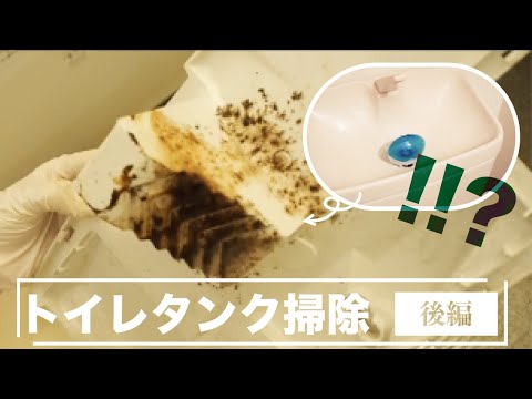 【トイレタンク掃除】中身を丸ごとキレイに【後編】