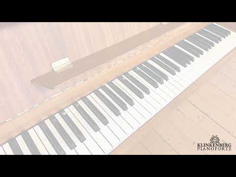 Alessandro Schandelmeyer Rösler Piano Michael Jackson Billie Jean by Klinkenberg Pianoforte