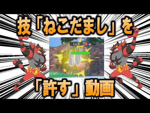 技「ねこだまし」を「許す」動画【ポケモン解説】