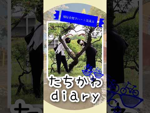 たちかわdiary#10　福祉会館でハート発見