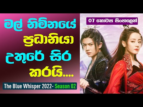 මල් නිම්නයේ ප්‍රධානියා උතුරේ සිර කරයි | The Blue Whisper Season02 Sinhala Review| 07 කොටස සිංහලෙන්