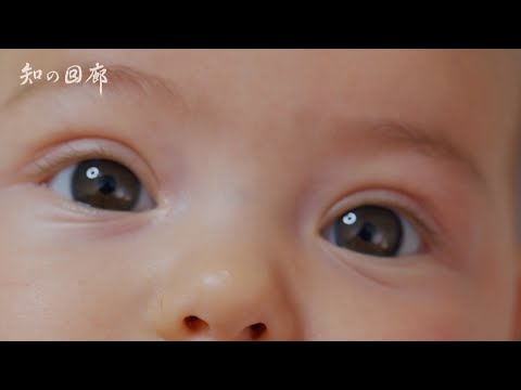 知の回廊 第160回「乳児の視覚世界」