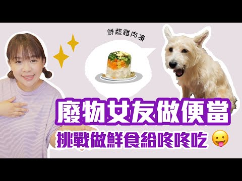 【廢物女友做便當#5】第一次做狗狗鮮食，咚咚會賞臉嗎？❤︎古娃娃WawaKu