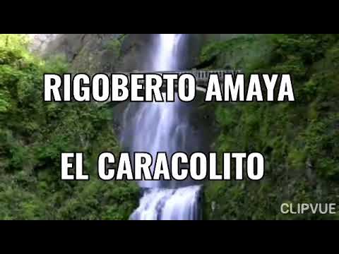 Rigoberto Amaya. Oficial. El Caracolito (Pista y Letra).