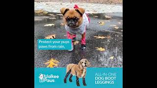 The new dog paw protection invention thats creating a buzz with pawrents. No more streetfeet!