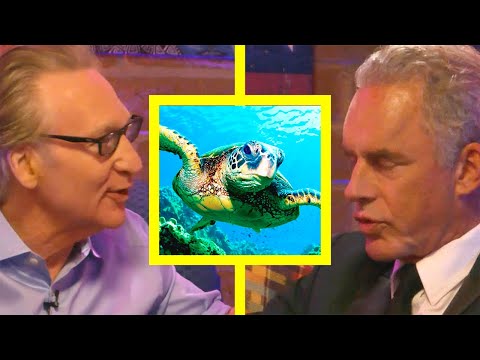 We are DESTROYING The Ocean w/ Jordan Peterson