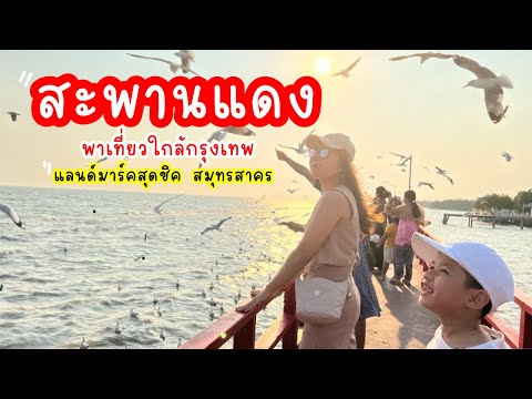 สะพานแดง จุดชมวิวปลาโลมา ชมนกนางนวล ไม่ต้องไปไกลถึงบางปู|น้องเนสbyพาเที่ยวEP.75￼