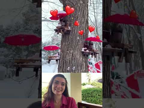 the cutest squirrel feeders | part 46 #viral #fails #funny #humor #comedy