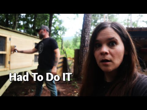 We Thought We Were Prepared, But We Were Not Prepared For This | Diy | Shed To Cabin Conversion